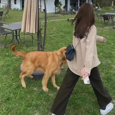 幸福的脚步