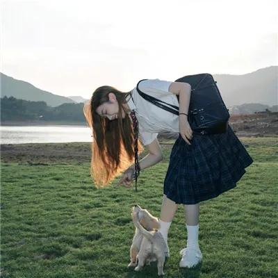 萌犬流浪记